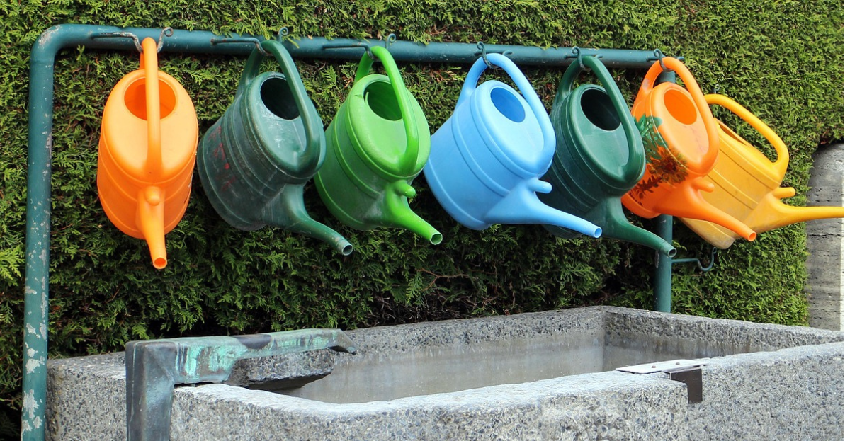 Watering can selection